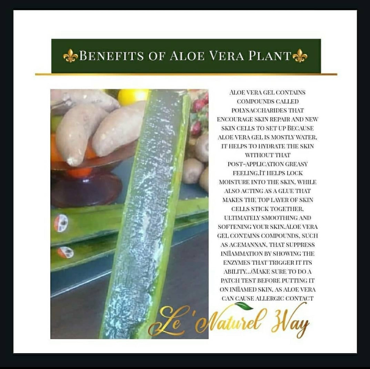 Shea for Hair w/ Aloe