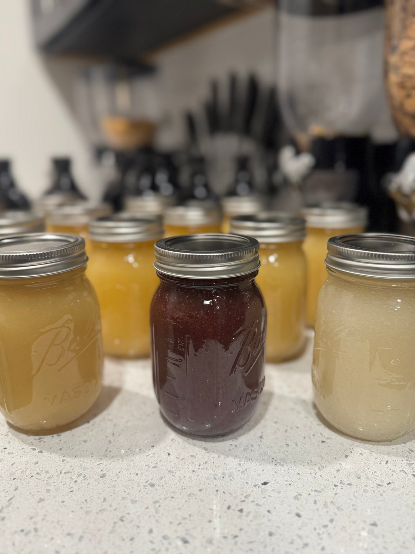 Sea Moss 16 oz.